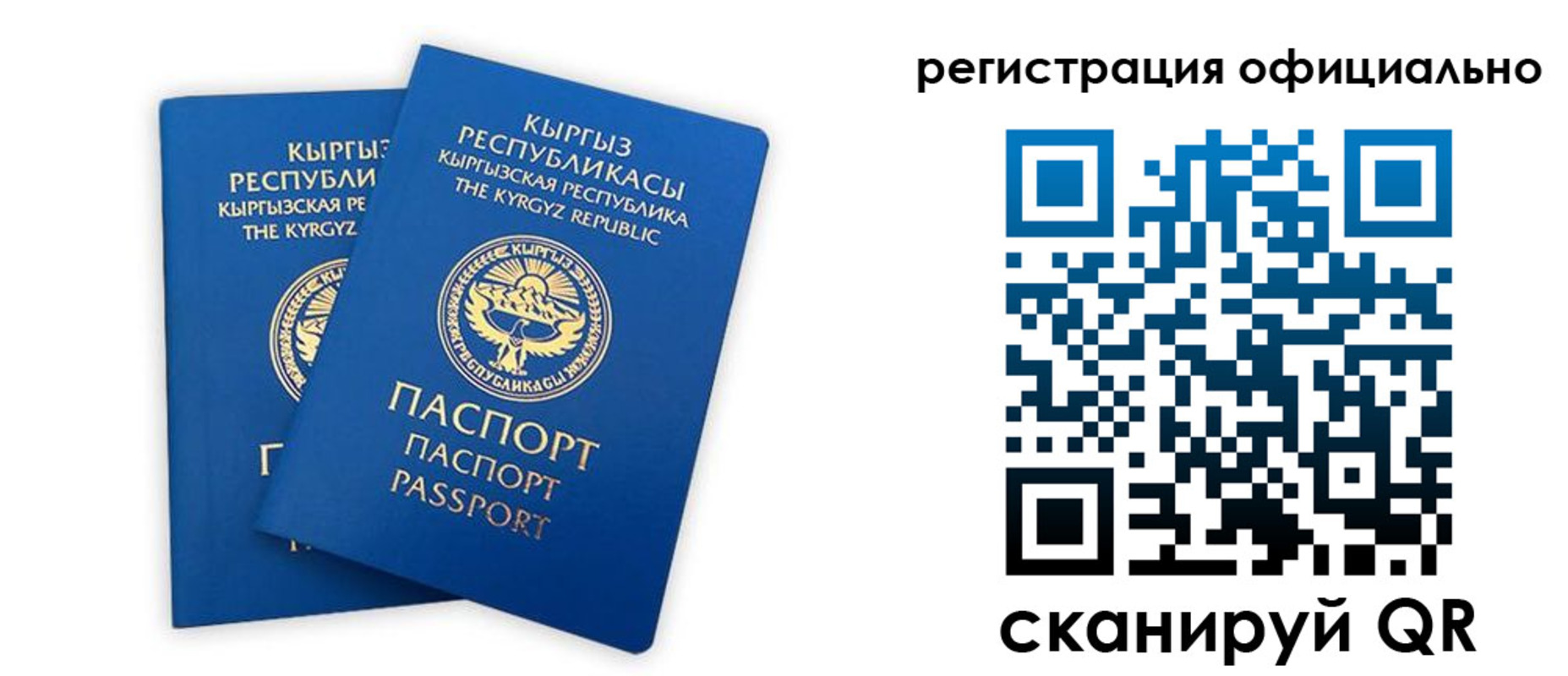 прописка поиск в Касимове